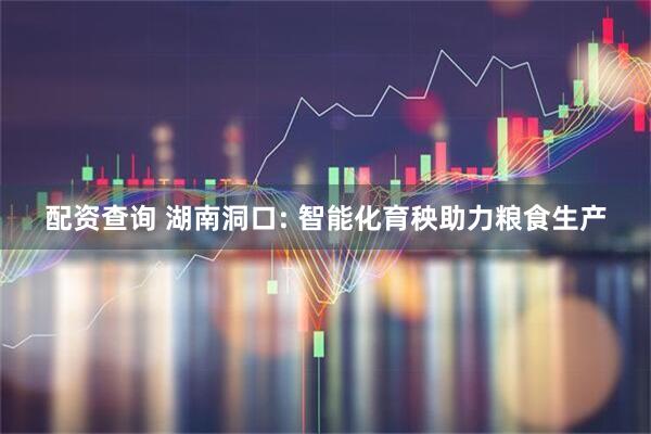 配资查询 湖南洞口: 智能化育秧助力粮食生产